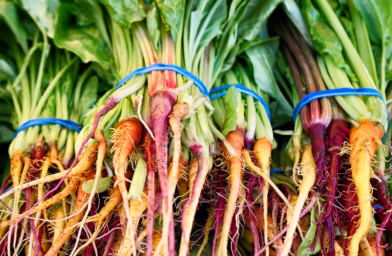 Agricultural Bands Lee Rubber Products Quality Bands Since 1949